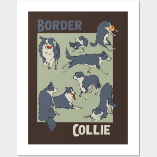 Border Collie Posters and Art